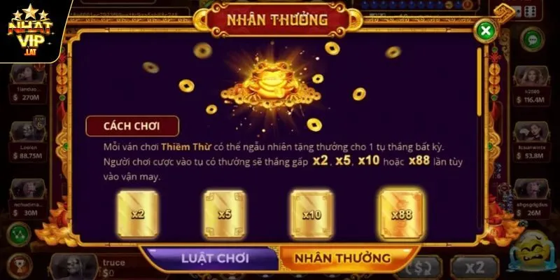 Tránh đặt cầu ngẫu nhiên mà phải có tính toán 